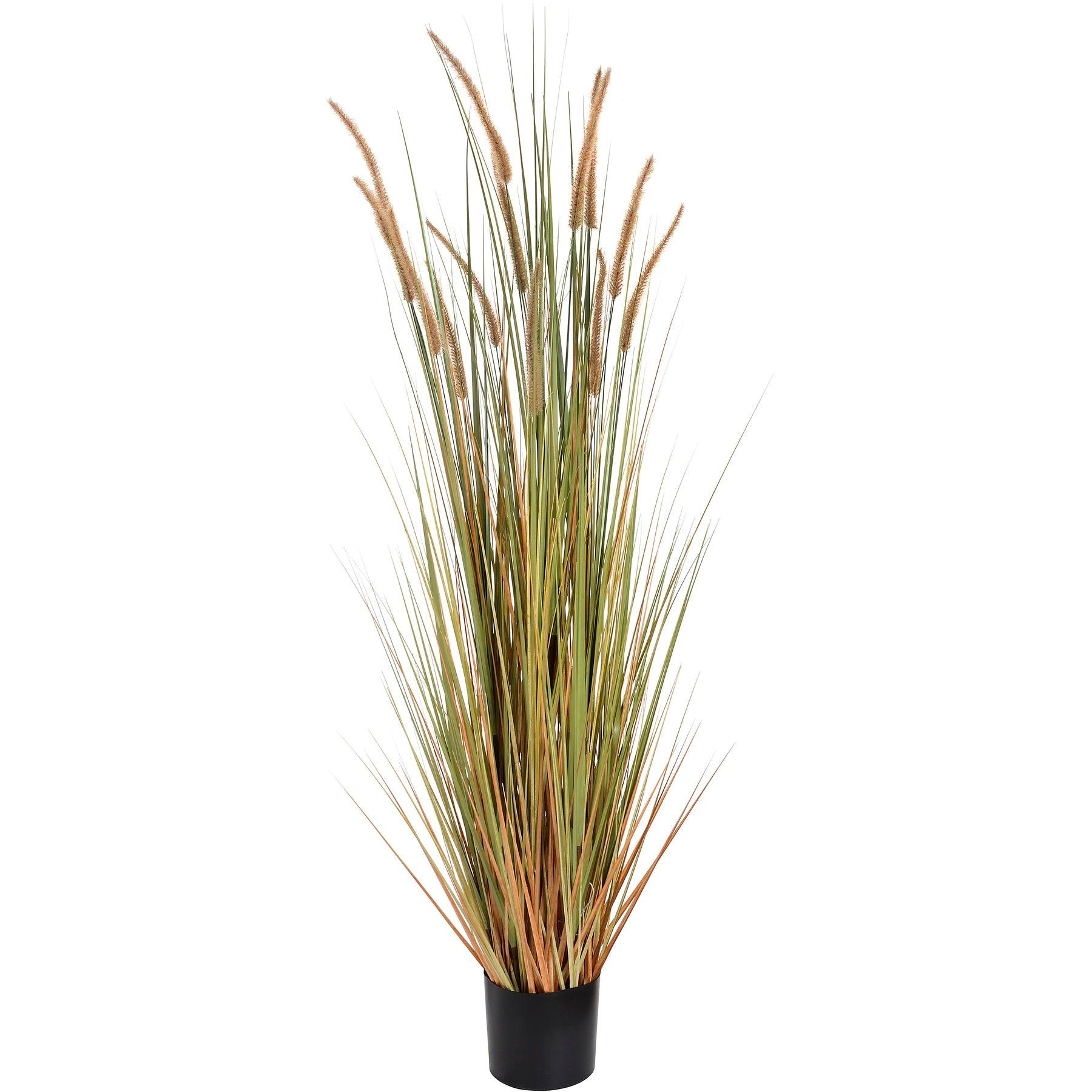 Field Grass Pot 60 Inch - Eudemonia Home Goods