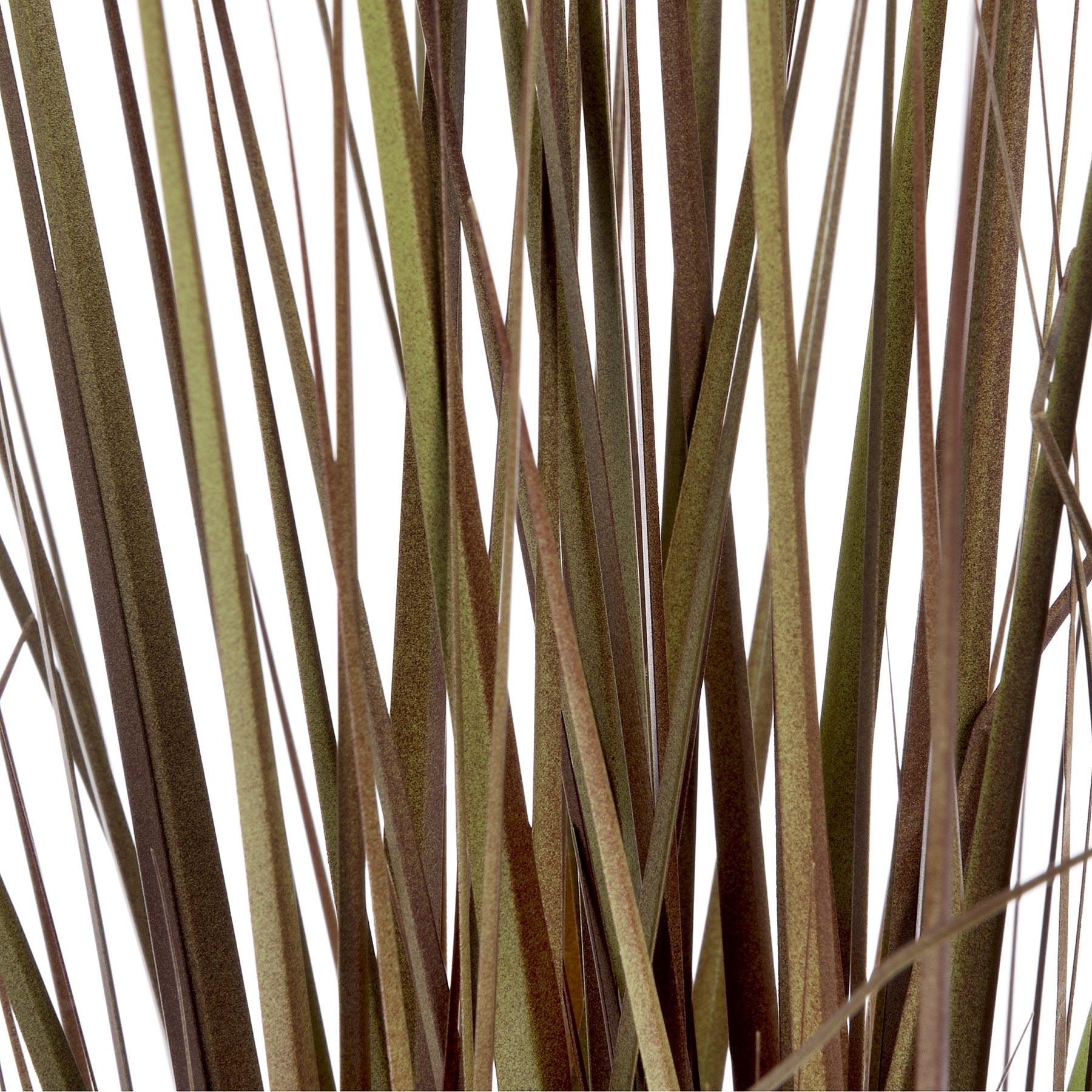 Spray Grass 21 Inch - Eudemonia Home Goods