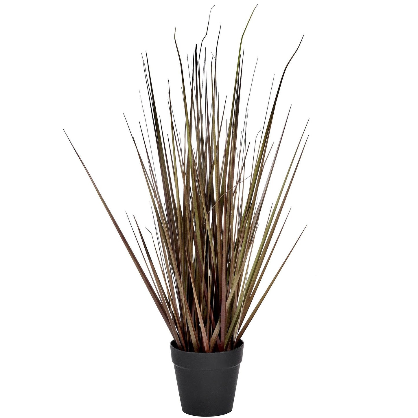 Spray Grass 21 Inch - Eudemonia Home Goods