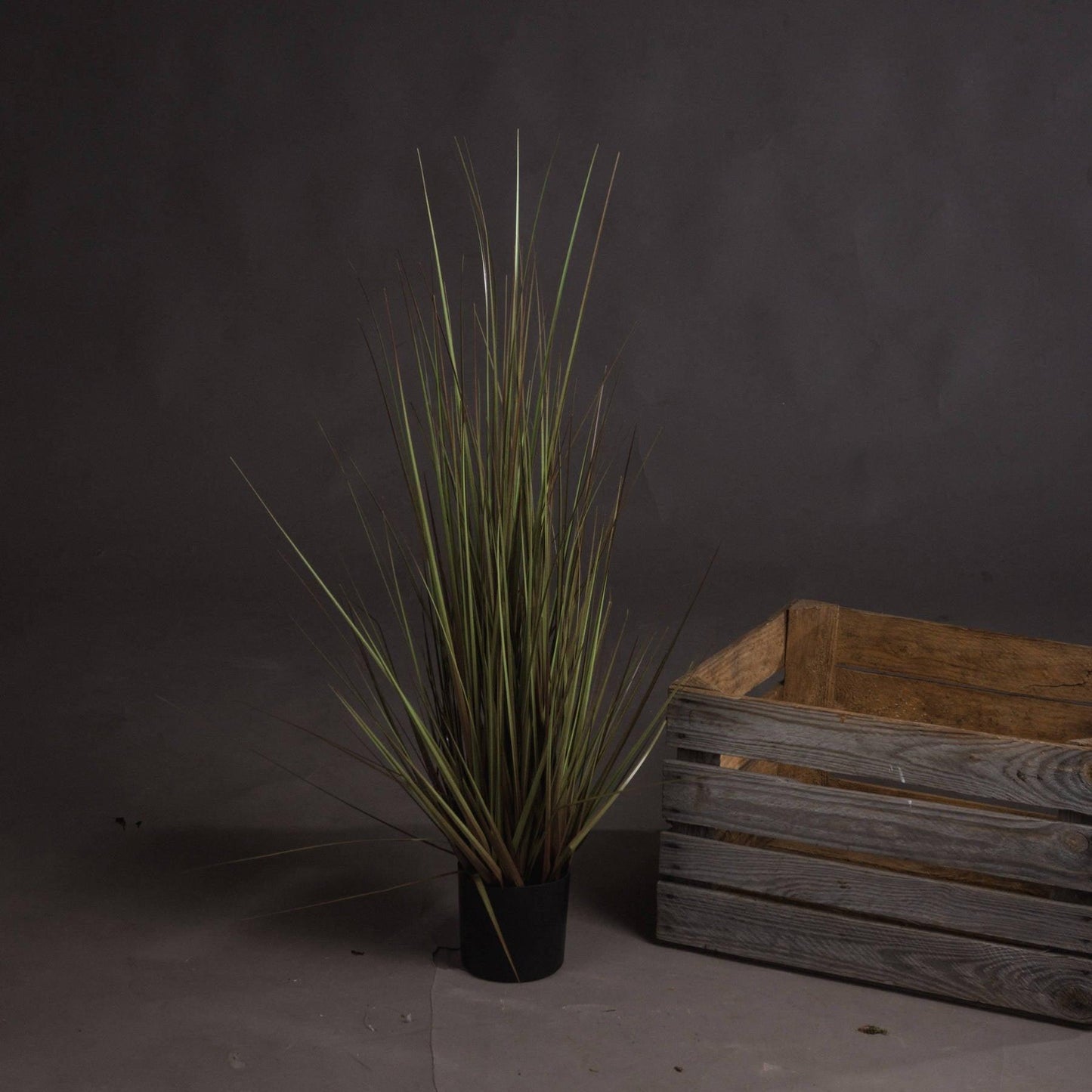 Spray Grass 36 Inch - Eudemonia Home Goods
