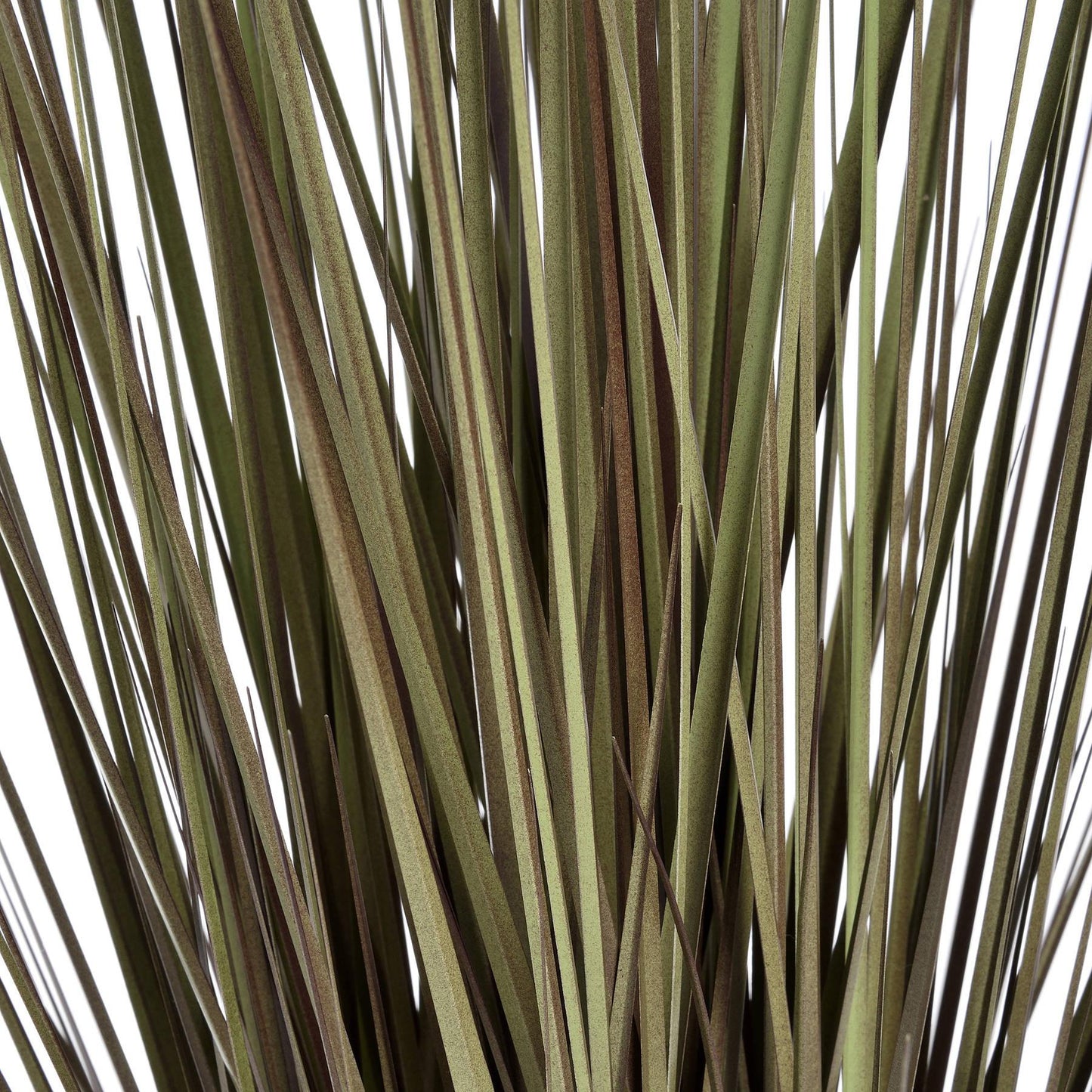 Spray Grass 36 Inch - Eudemonia Home Goods