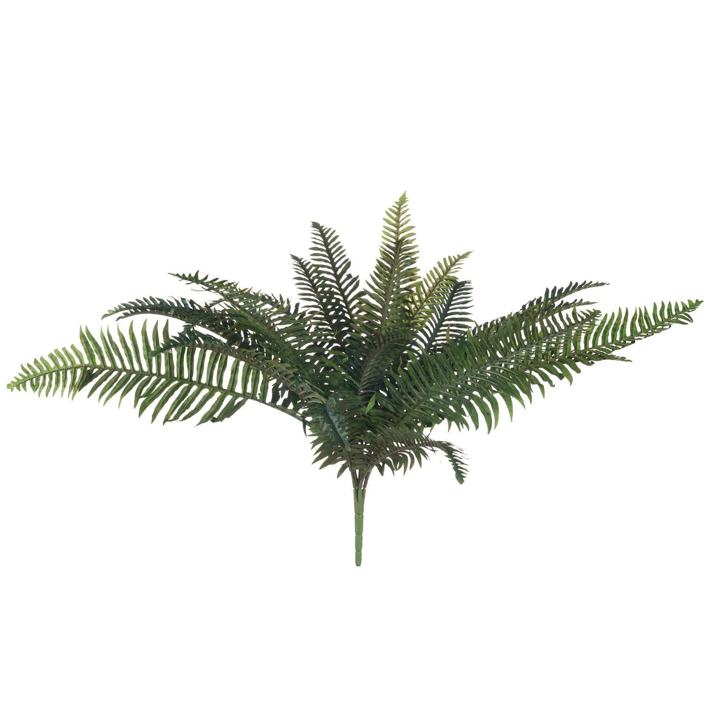 Fern Bunch - Eudemonia Home Goods