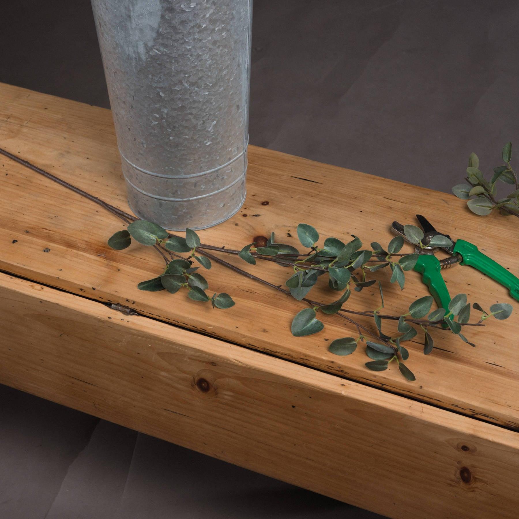 Tall Eucalyptus Stem - Eudemonia Home Goods
