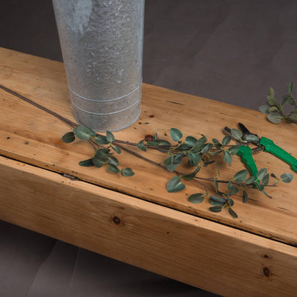 Tall Eucalyptus Stem - Eudemonia Home Goods