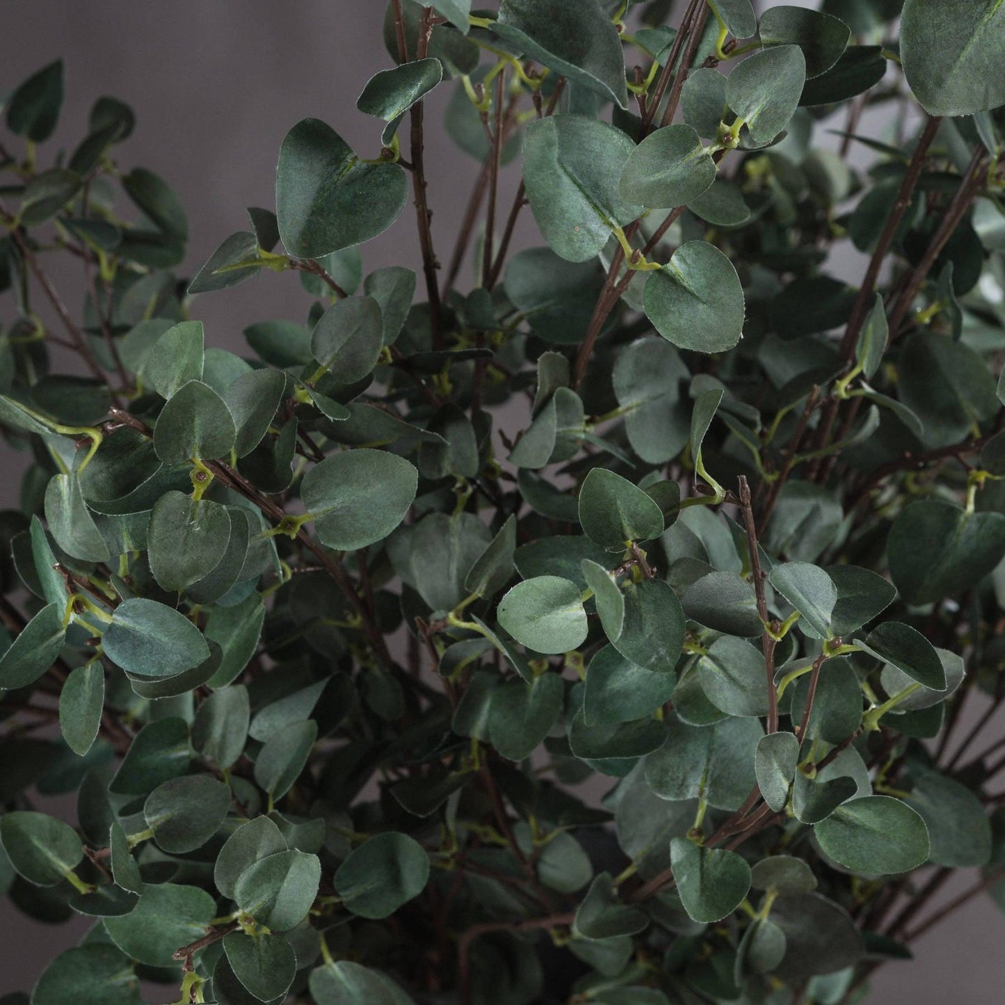 Tall Eucalyptus Stem - Eudemonia Home Goods