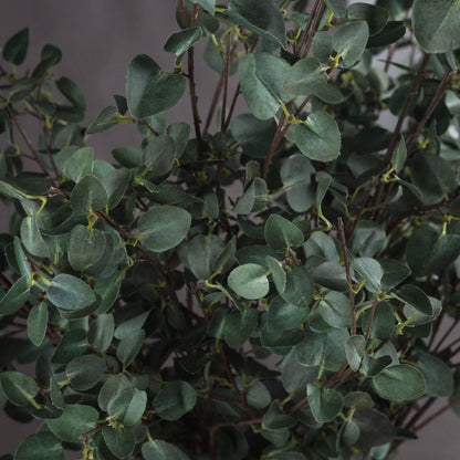 Tall Eucalyptus Stem - Eudemonia Home Goods