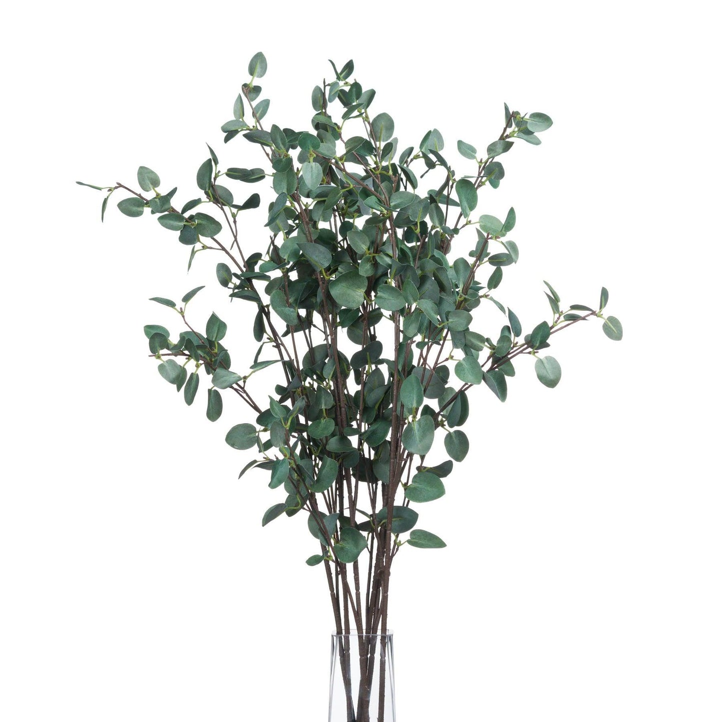Tall Eucalyptus Stem - Eudemonia Home Goods