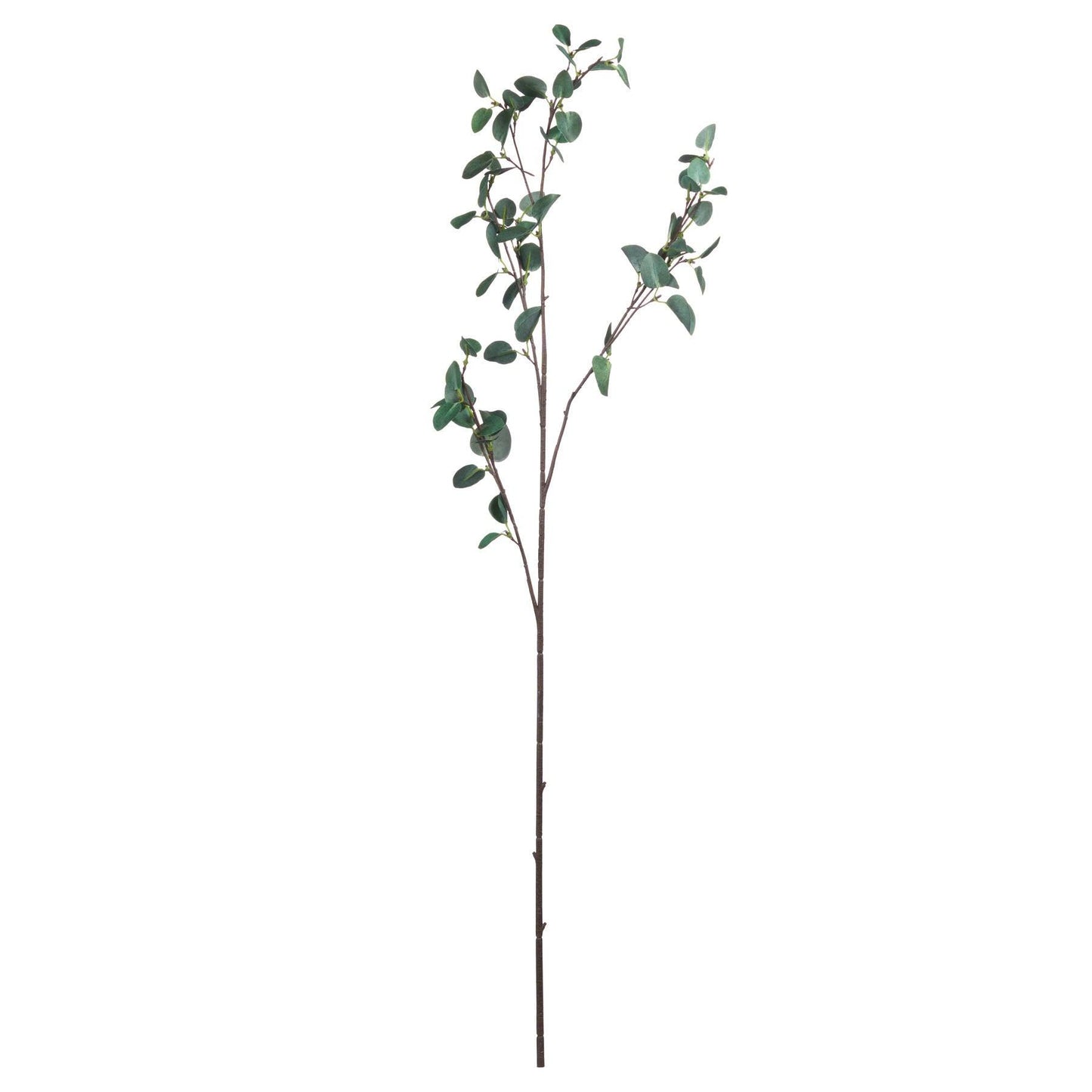 Tall Eucalyptus Stem - Eudemonia Home Goods