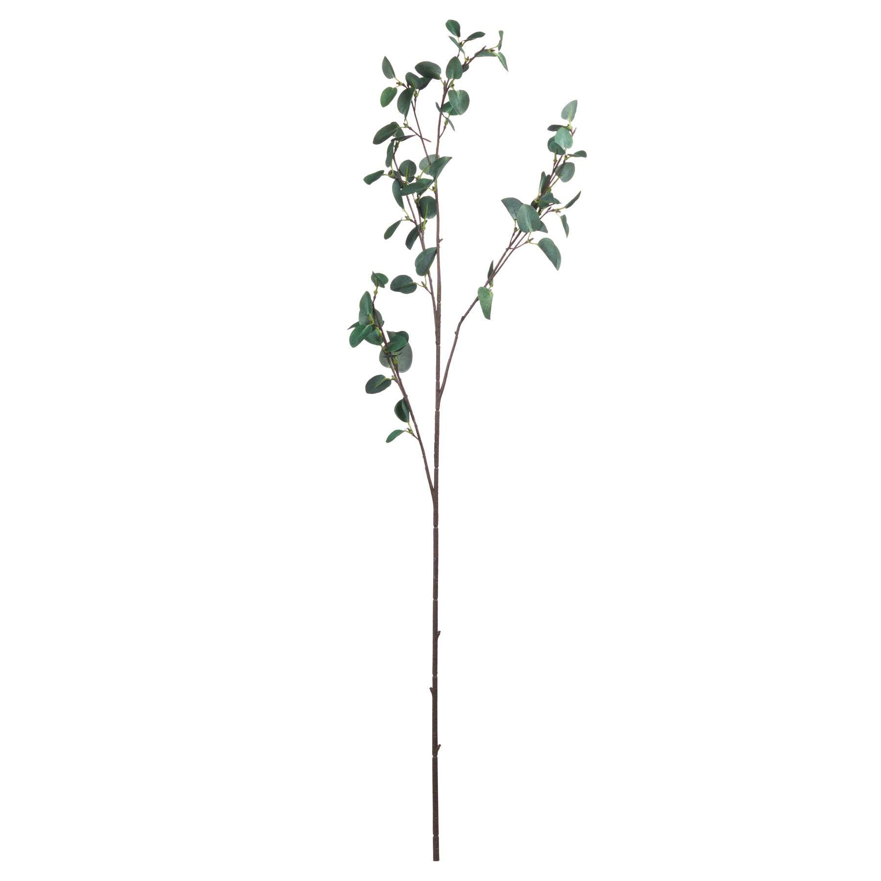 Tall Eucalyptus Stem - Eudemonia Home Goods