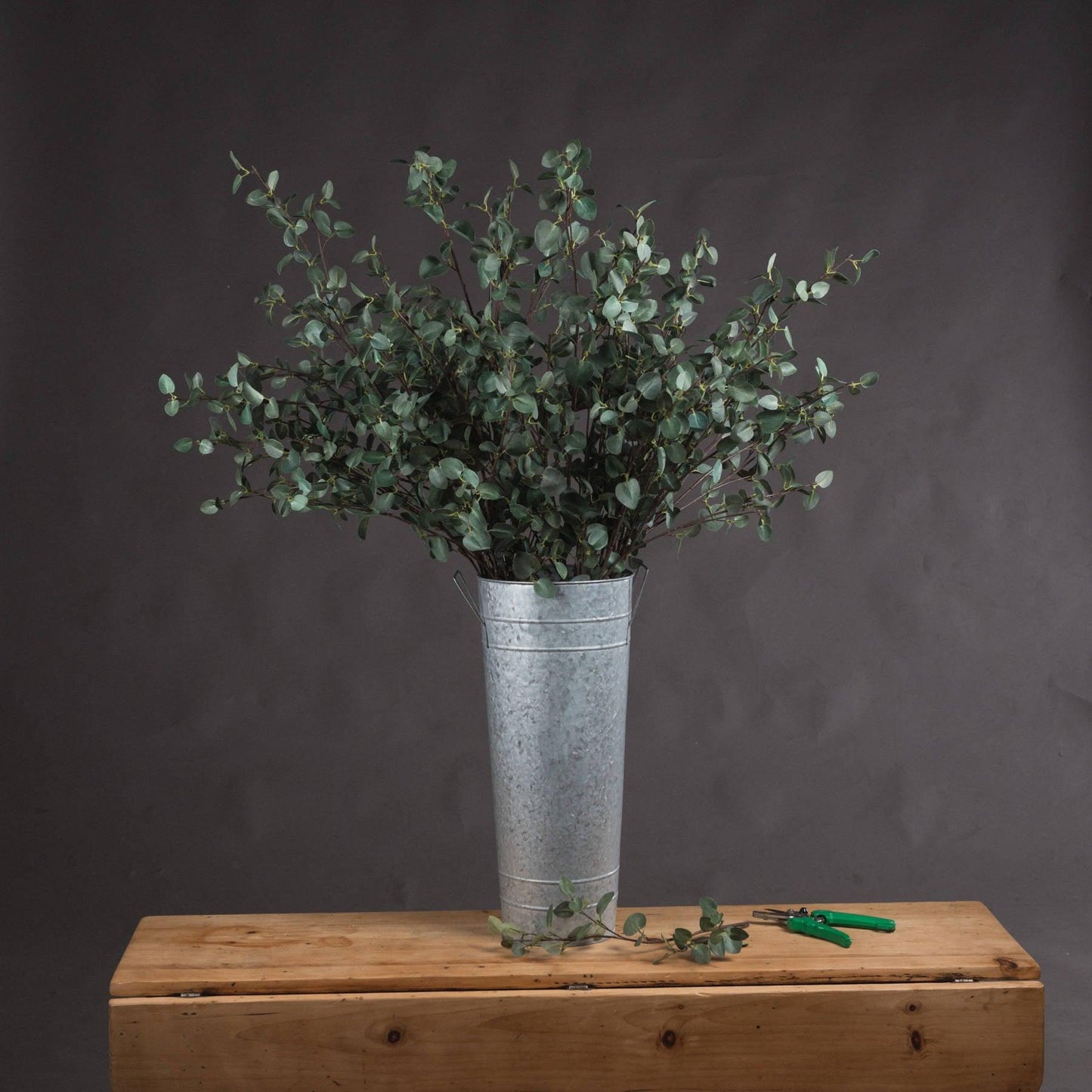 Tall Eucalyptus Stem - Eudemonia Home Goods