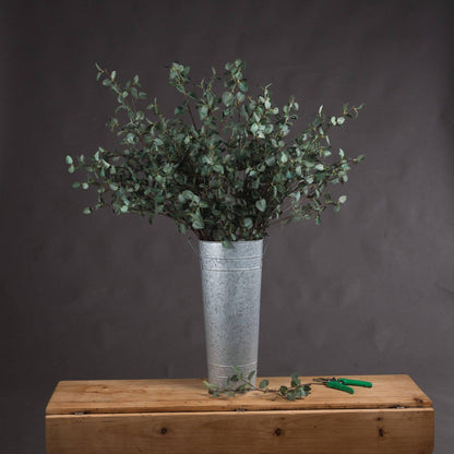 Tall Eucalyptus Stem - Eudemonia Home Goods