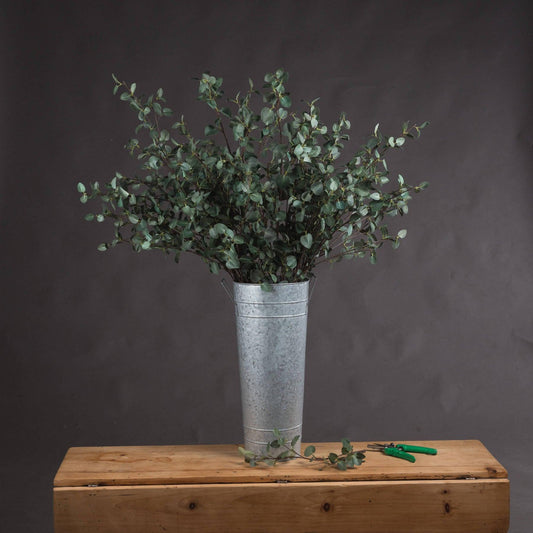 Tall Eucalyptus Stem - Eudemonia Home Goods