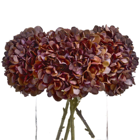 Autumn Coffee Hydrangea - Eudemonia Home Goods