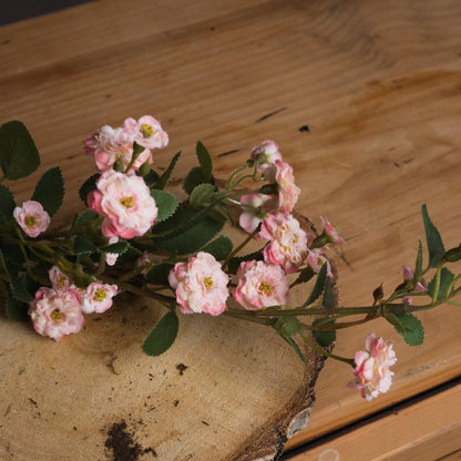 Pink Wild Meadow Rose - Eudemonia Home Goods