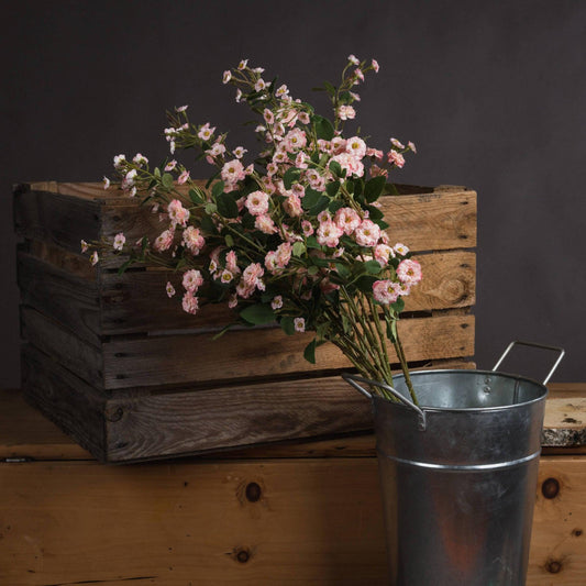 Pink Wild Meadow Rose - Eudemonia Home Goods