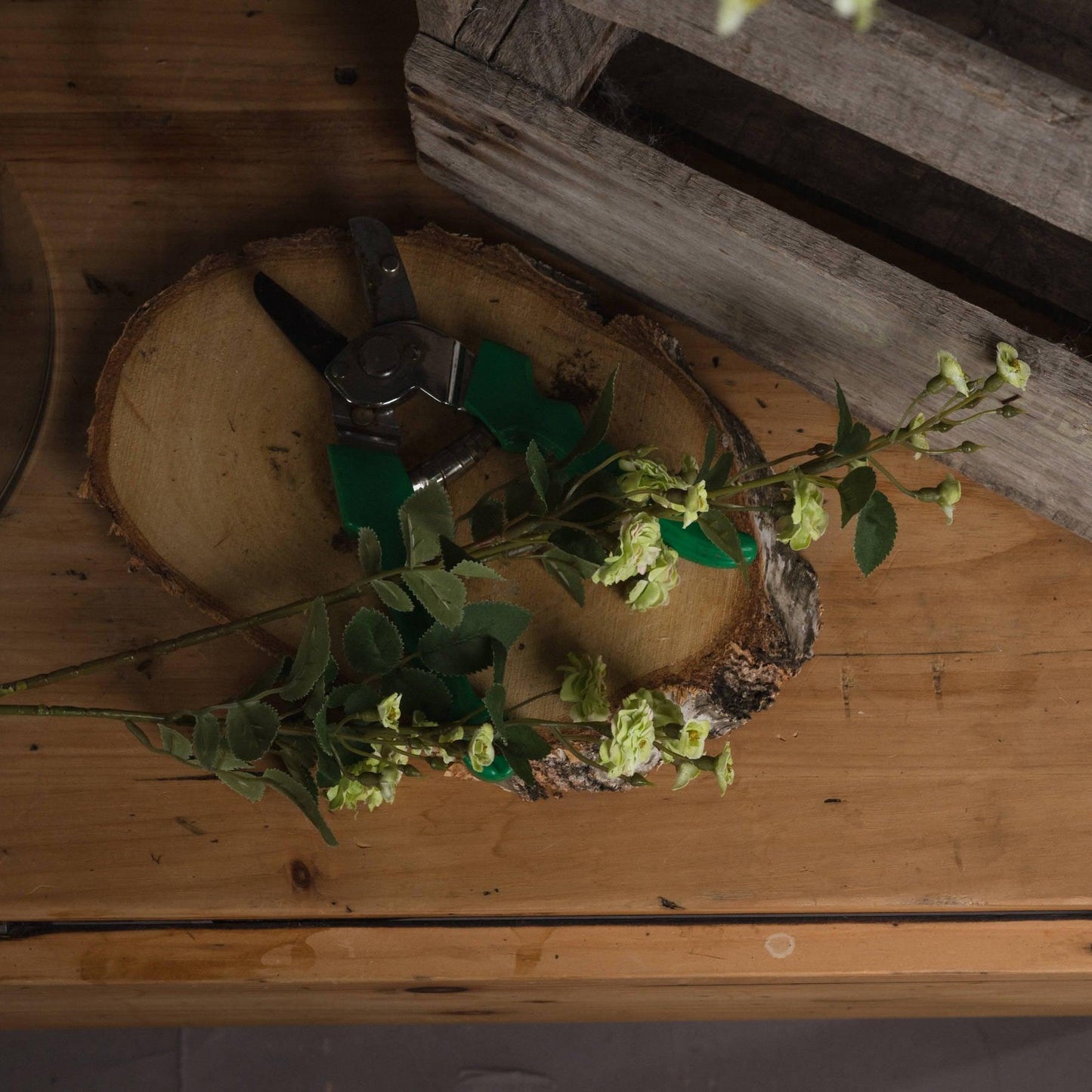 Green Wild Meadow Rose - Eudemonia Home Goods