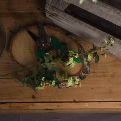 Green Wild Meadow Rose - Eudemonia Home Goods