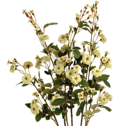 Green Wild Meadow Rose - Eudemonia Home Goods
