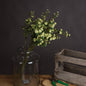 Green Wild Meadow Rose - Eudemonia Home Goods
