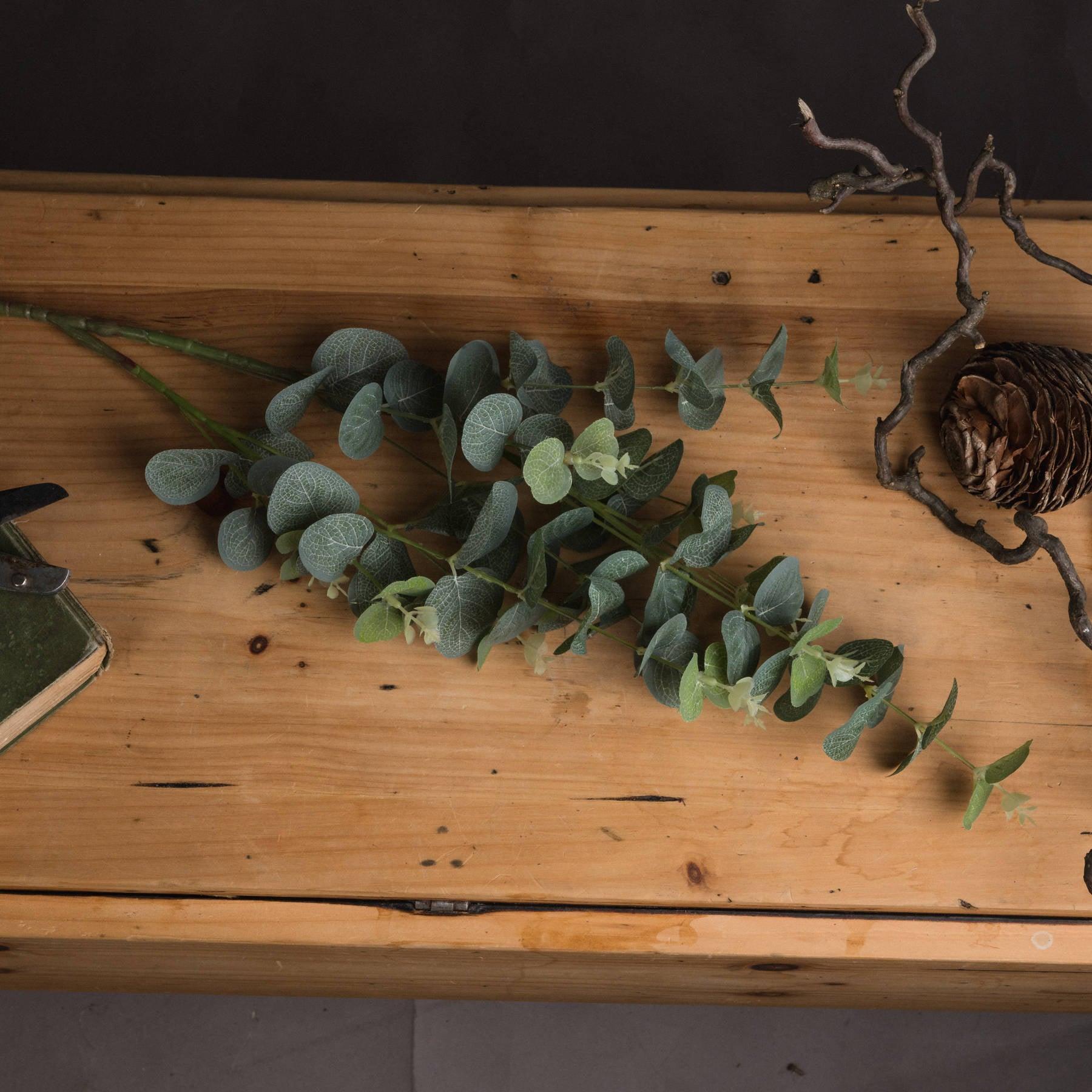 Eucalyptus Spray - Eudemonia Home Goods