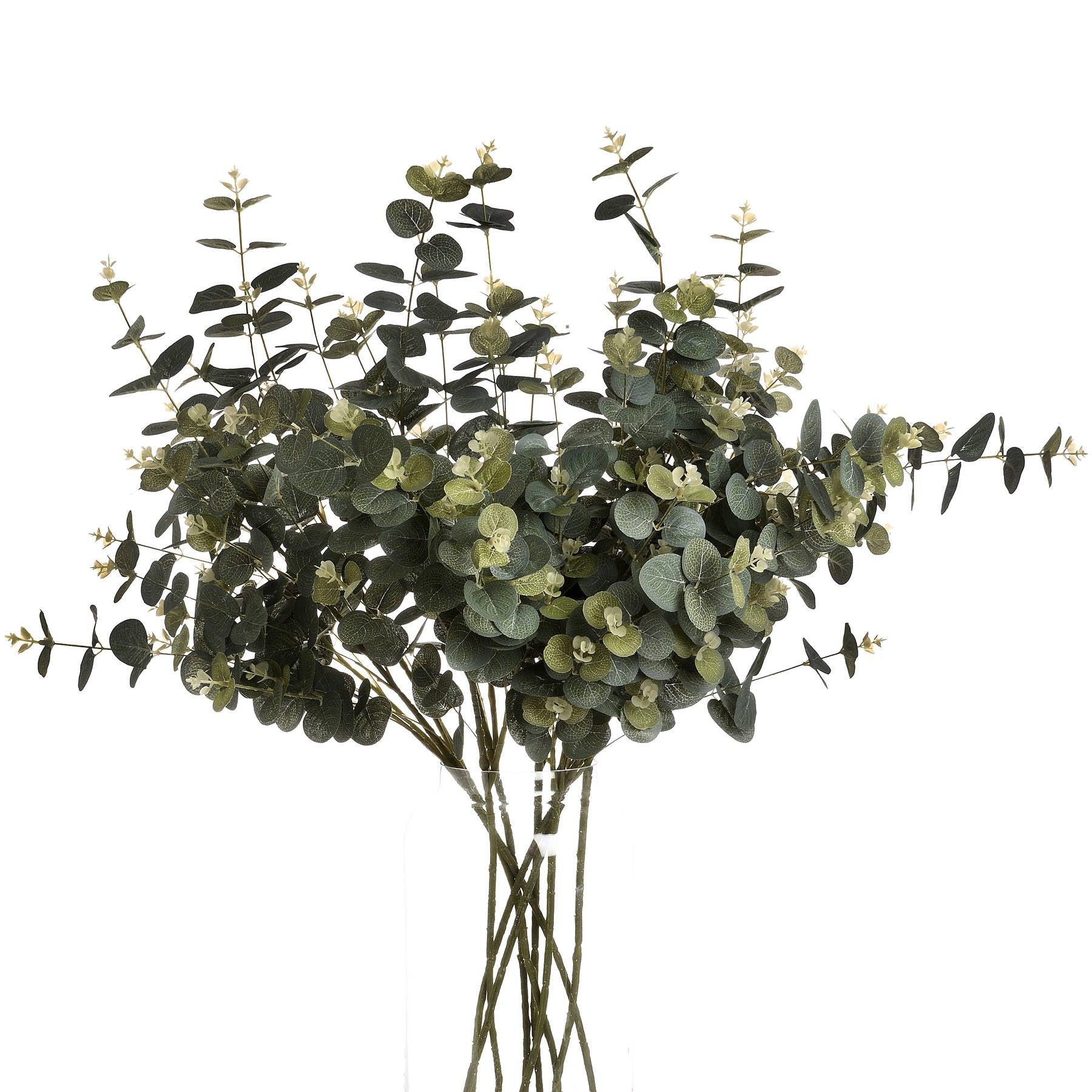 Eucalyptus Spray - Eudemonia Home Goods