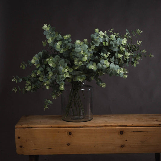 Eucalyptus Spray - Eudemonia Home Goods