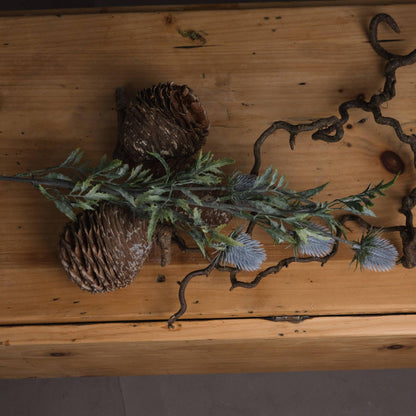 Eryngium Blue Thistle - Eudemonia Home Goods