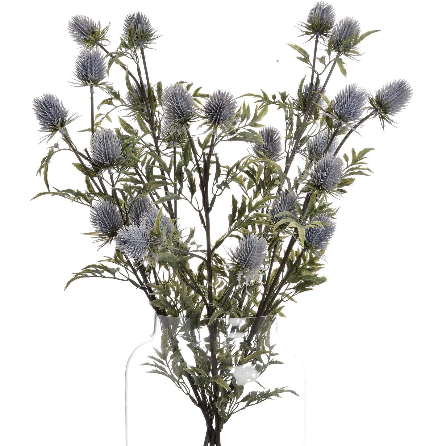 Eryngium Blue Thistle - Eudemonia Home Goods