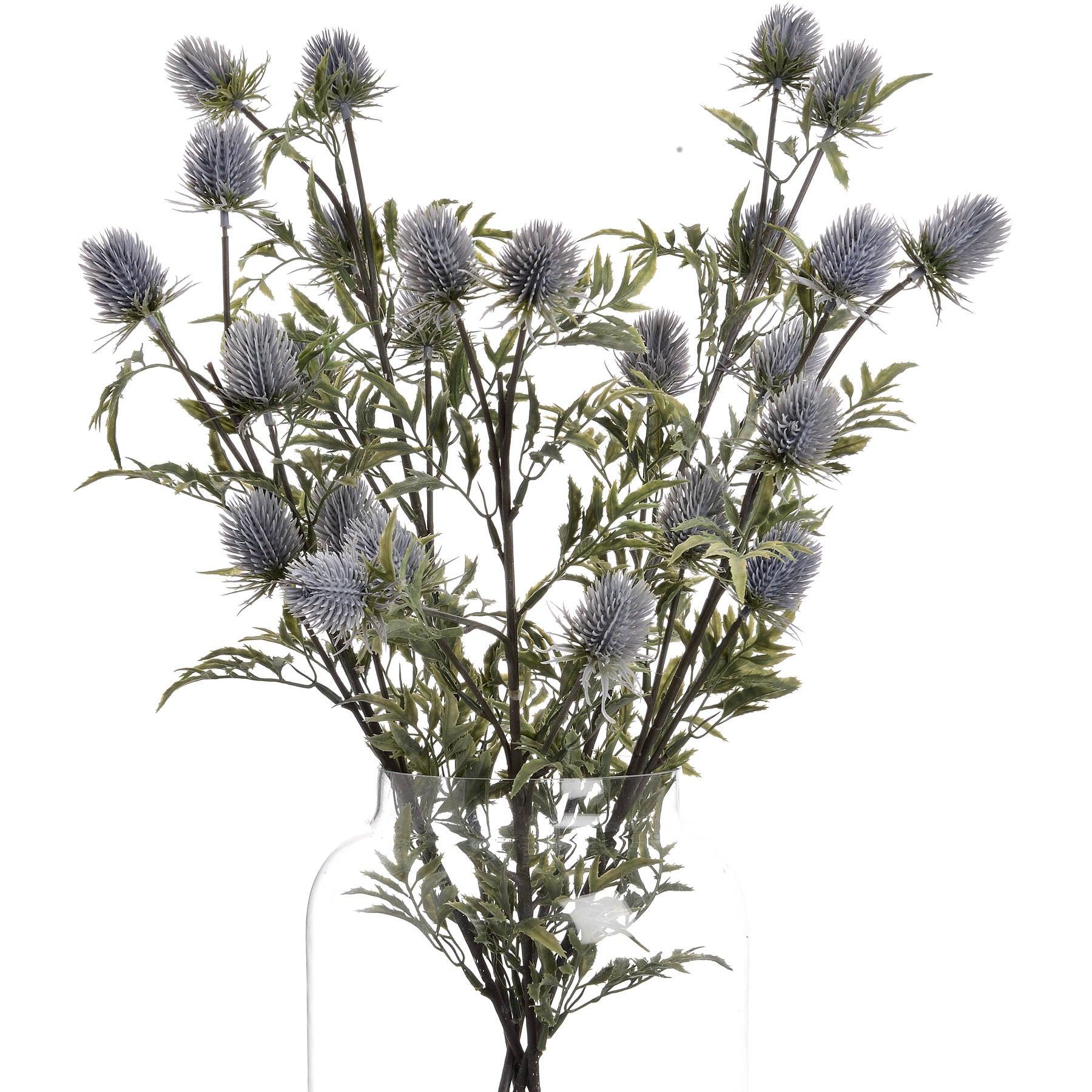 Eryngium Blue Thistle - Eudemonia Home Goods