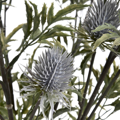Eryngium Blue Thistle - Eudemonia Home Goods
