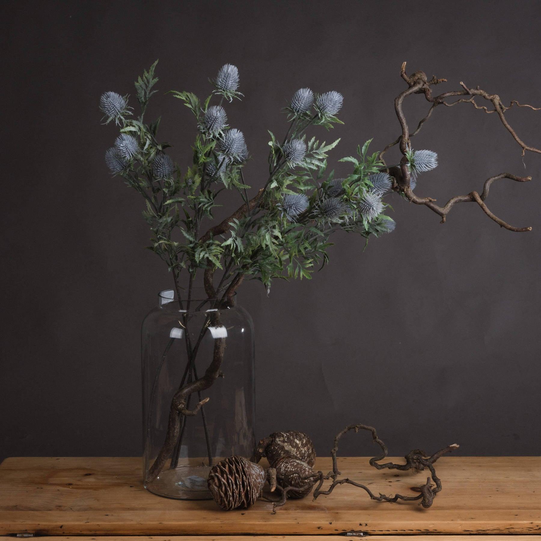 Eryngium Blue Thistle - Eudemonia Home Goods