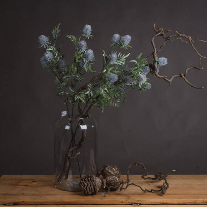 Eryngium Blue Thistle - Eudemonia Home Goods