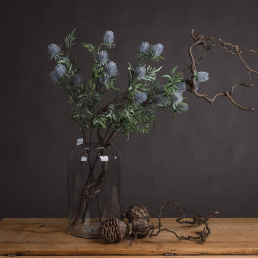 Eryngium Blue Thistle - Eudemonia Home Goods