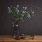 Eryngium Blue Thistle - Eudemonia Home Goods
