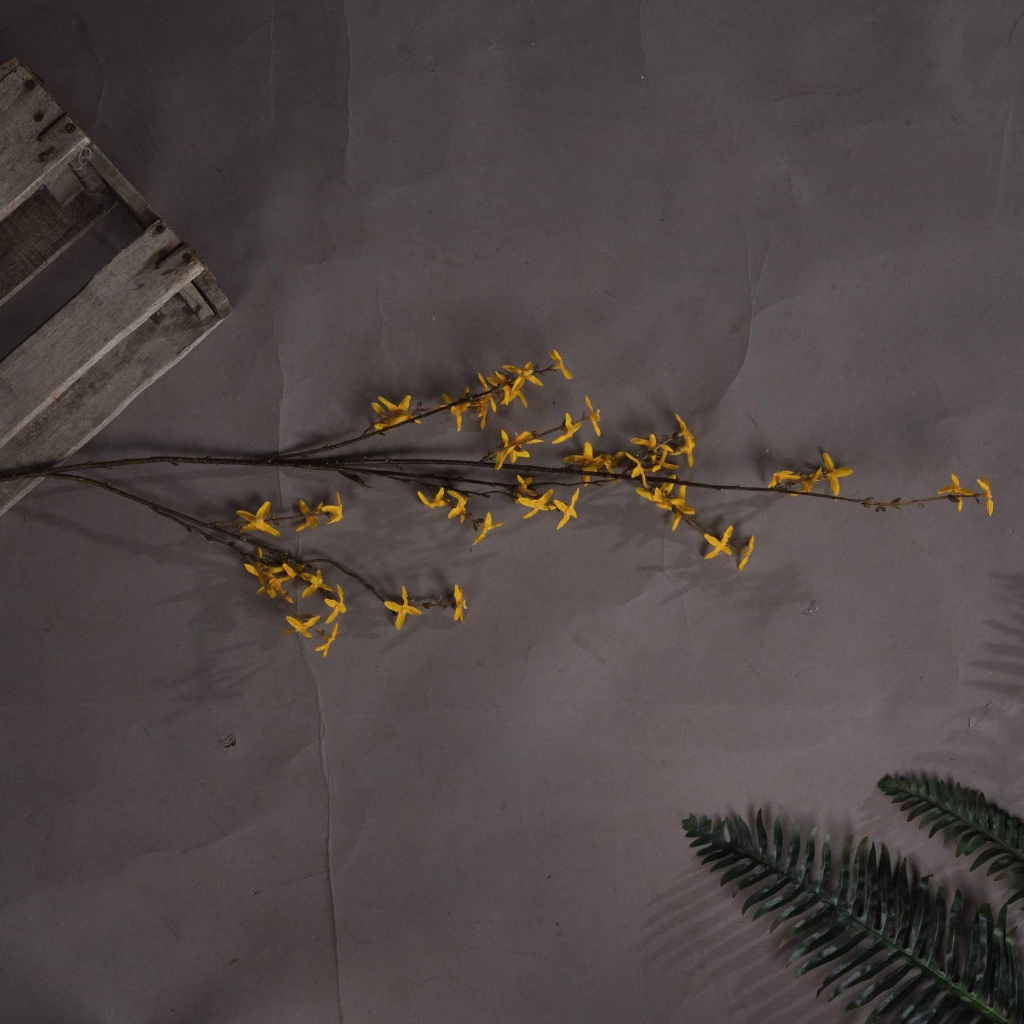 Forsythia - Eudemonia Home Goods