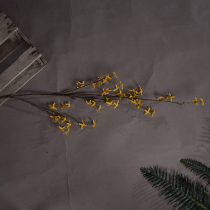 Forsythia - Eudemonia Home Goods