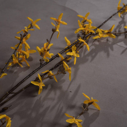 Forsythia - Eudemonia Home Goods