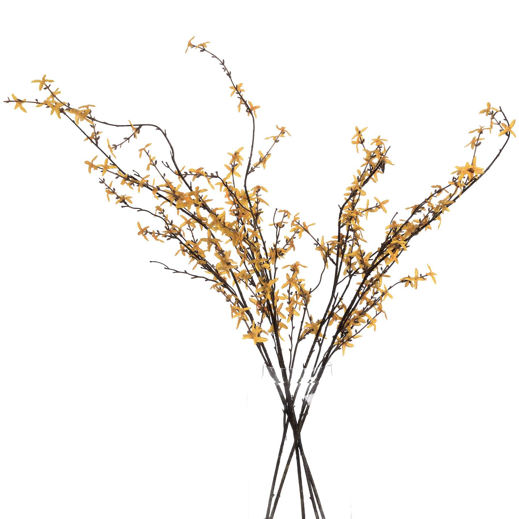 Forsythia - Eudemonia Home Goods