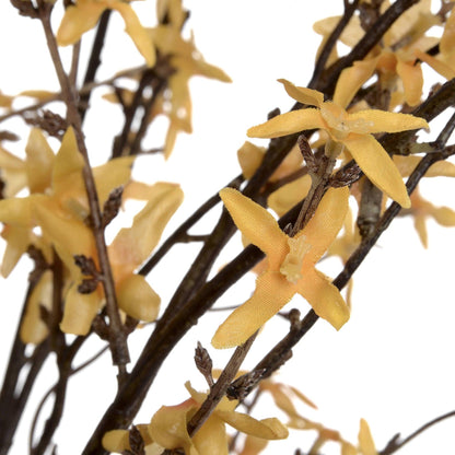 Forsythia - Eudemonia Home Goods