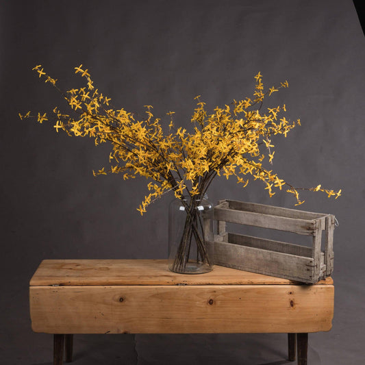 Forsythia - Eudemonia Home Goods
