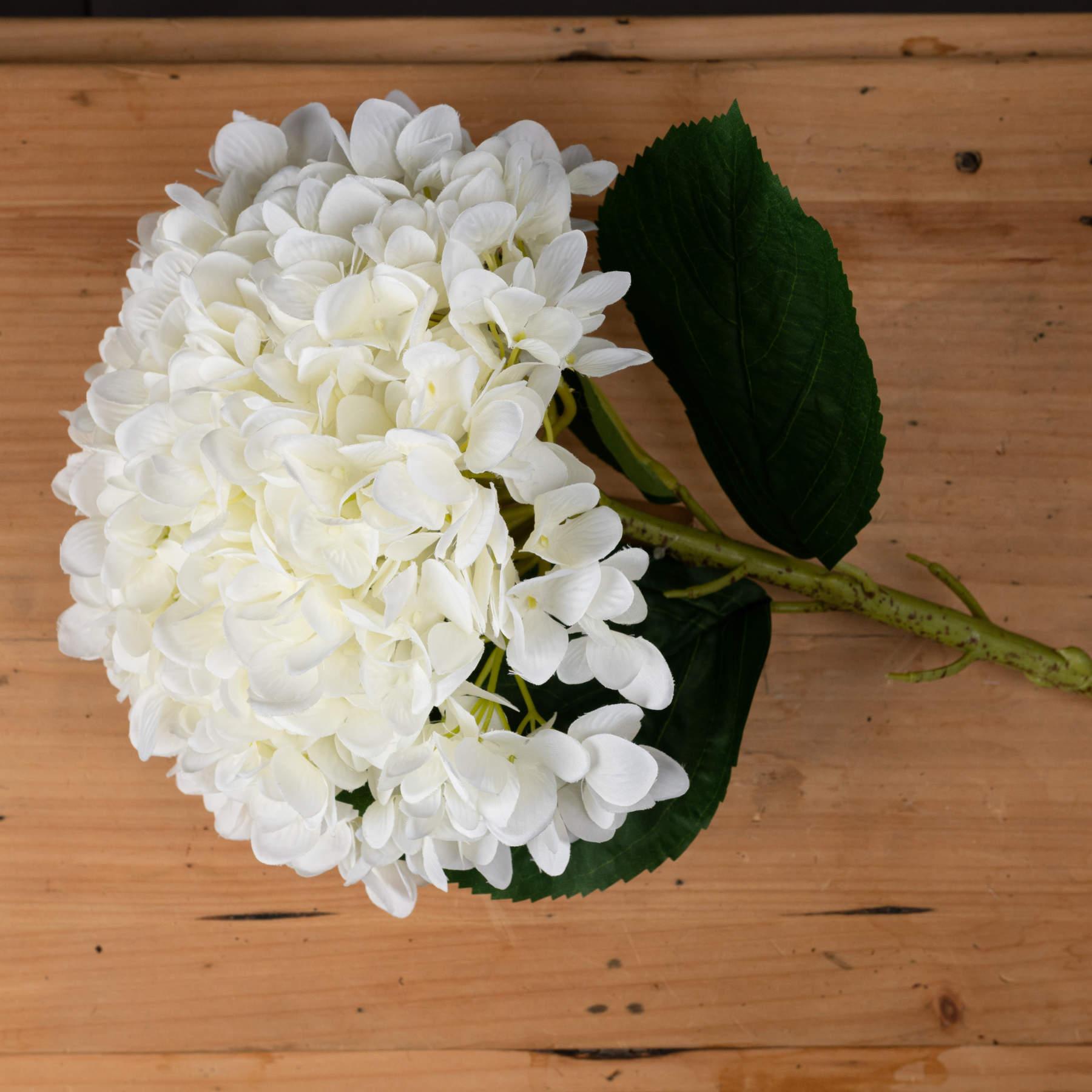 Oversized White Hydrangea - Eudemonia Home Goods
