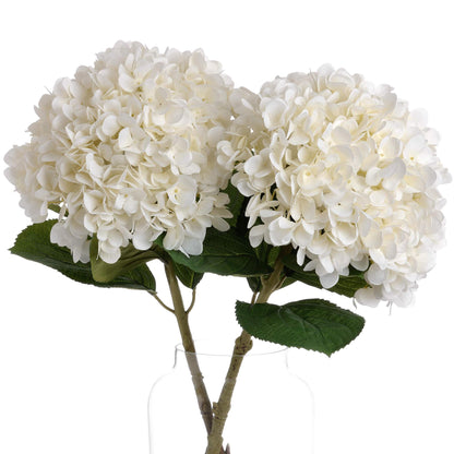 Oversized White Hydrangea - Eudemonia Home Goods