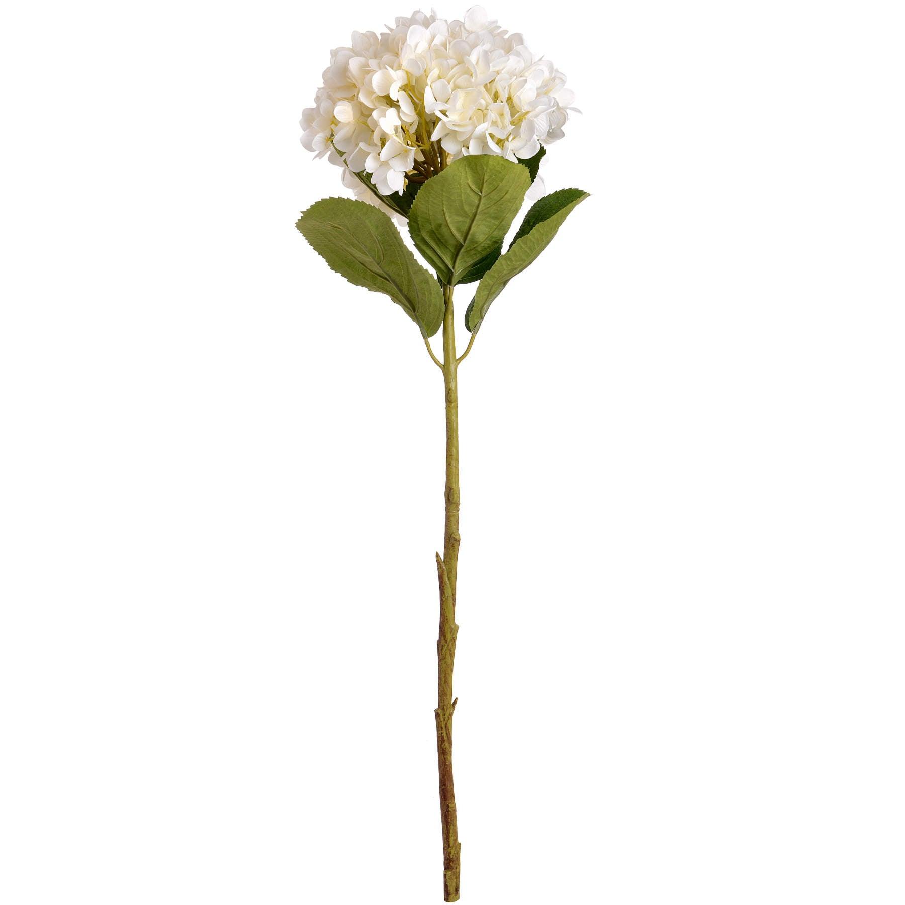 Oversized White Hydrangea - Eudemonia Home Goods