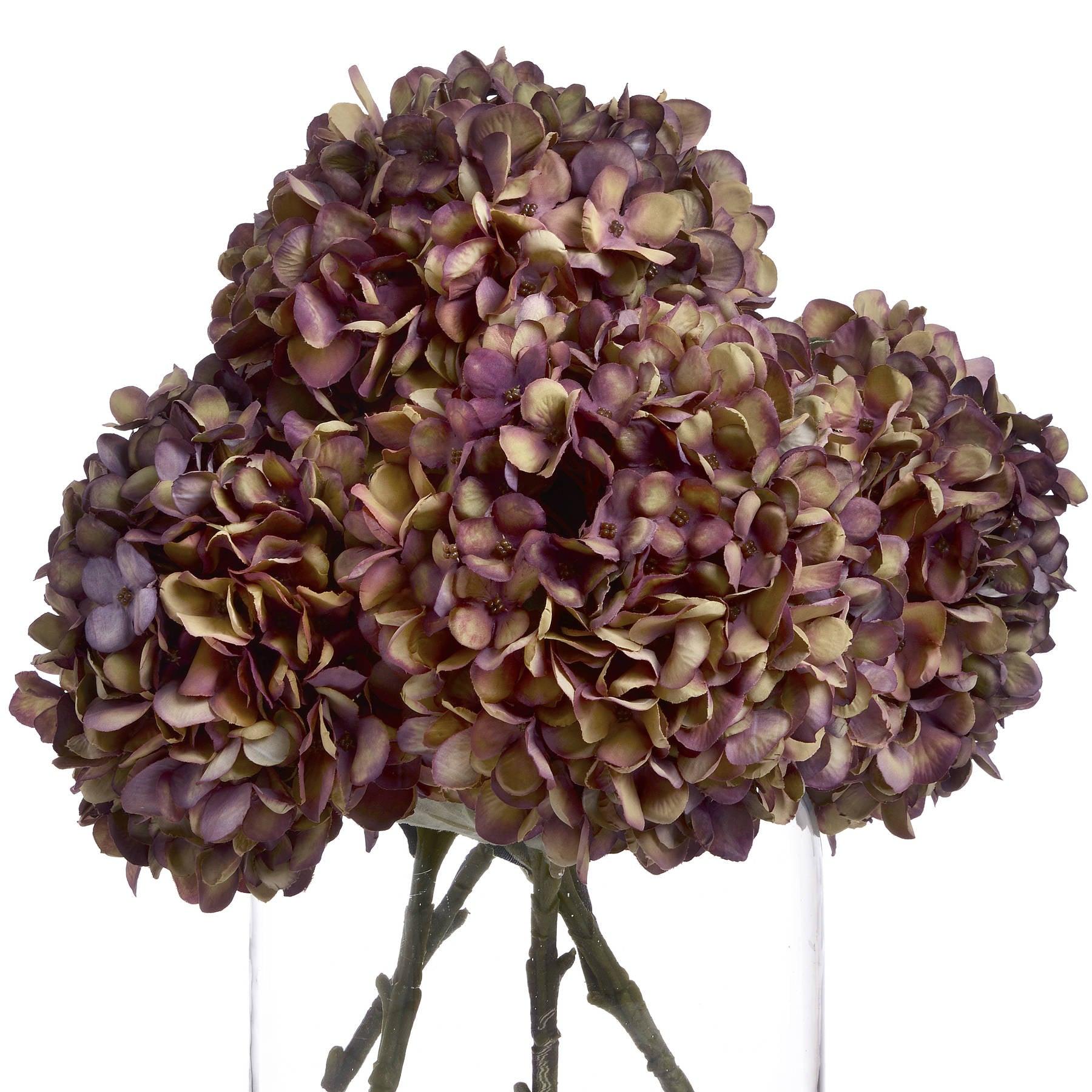 Autumn Burgundy Hydrangea - Eudemonia Home Goods