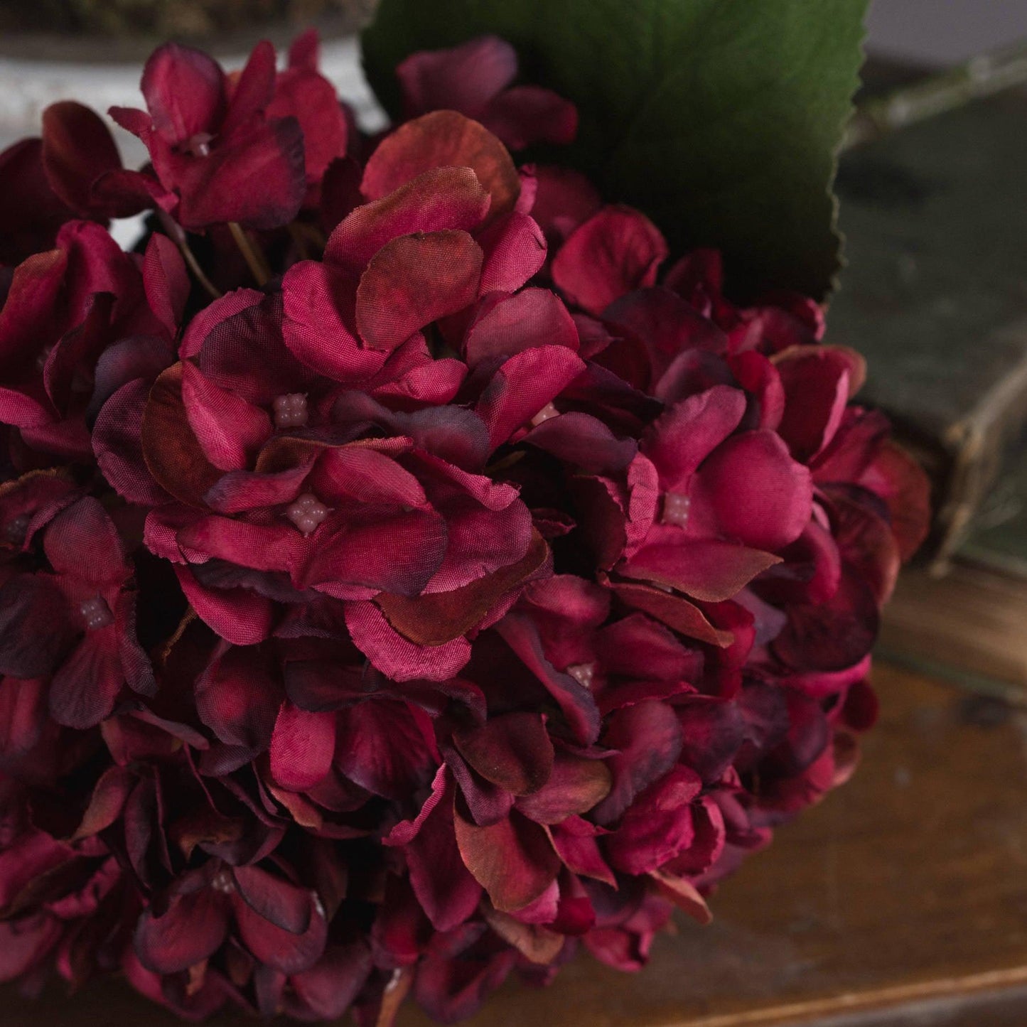 Autumn Ruby Hydrangea - Eudemonia Home Goods