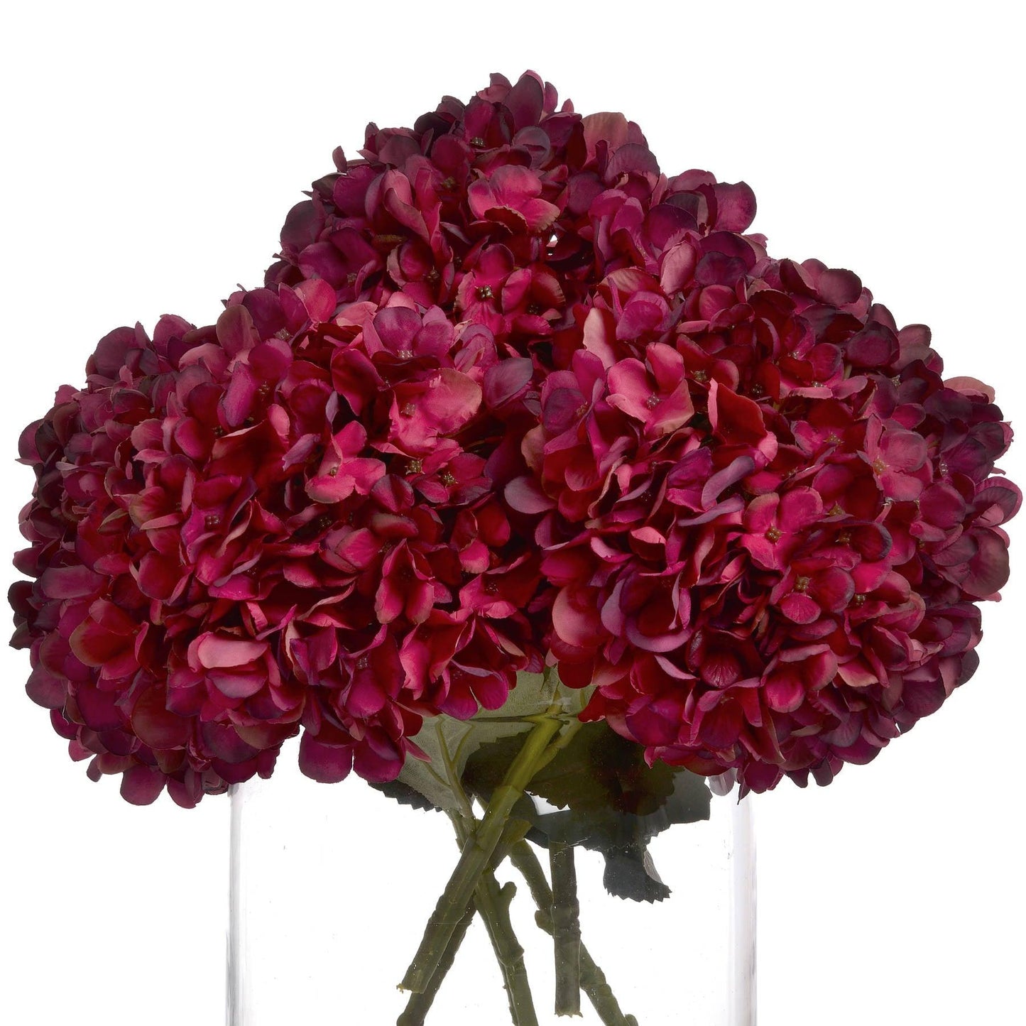 Autumn Ruby Hydrangea - Eudemonia Home Goods