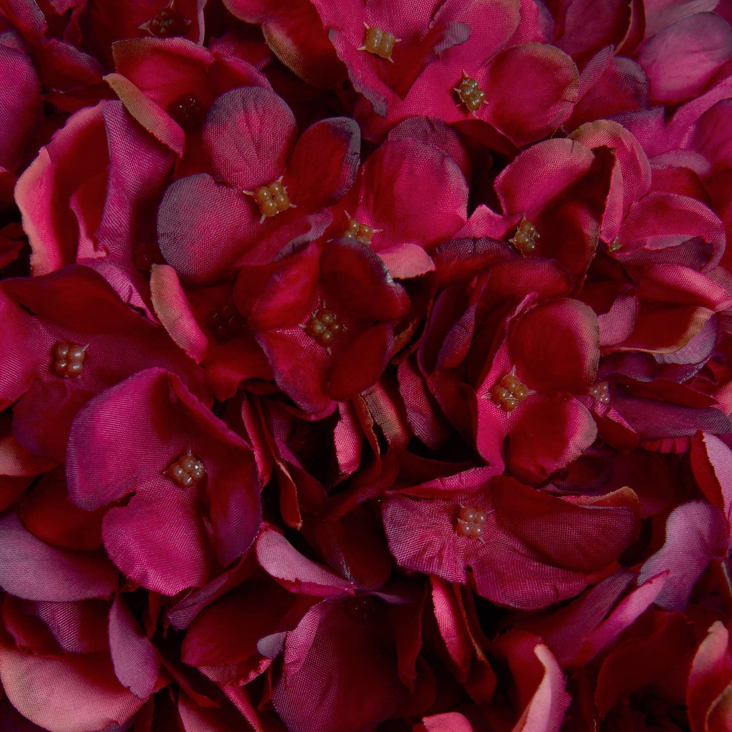 Autumn Ruby Hydrangea - Eudemonia Home Goods