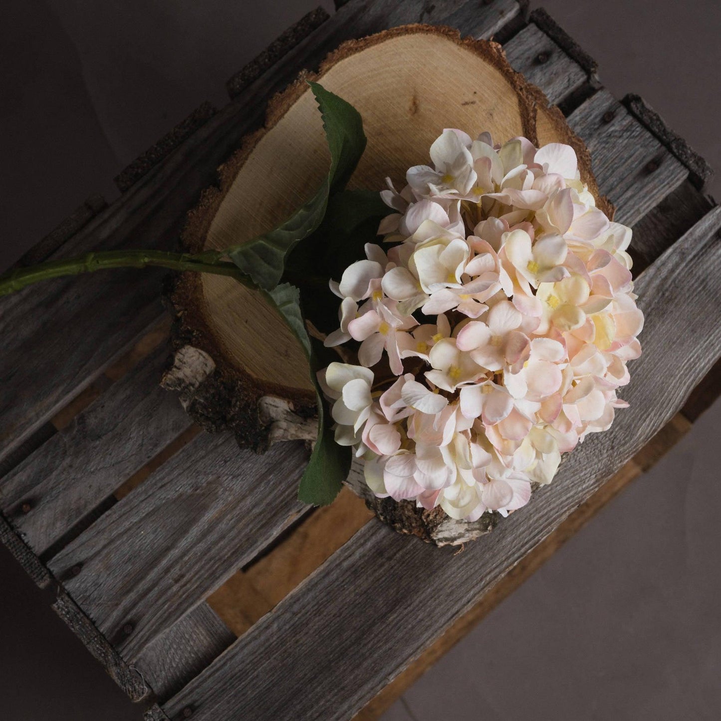 Autumn White Hydrangea - Eudemonia Home Goods