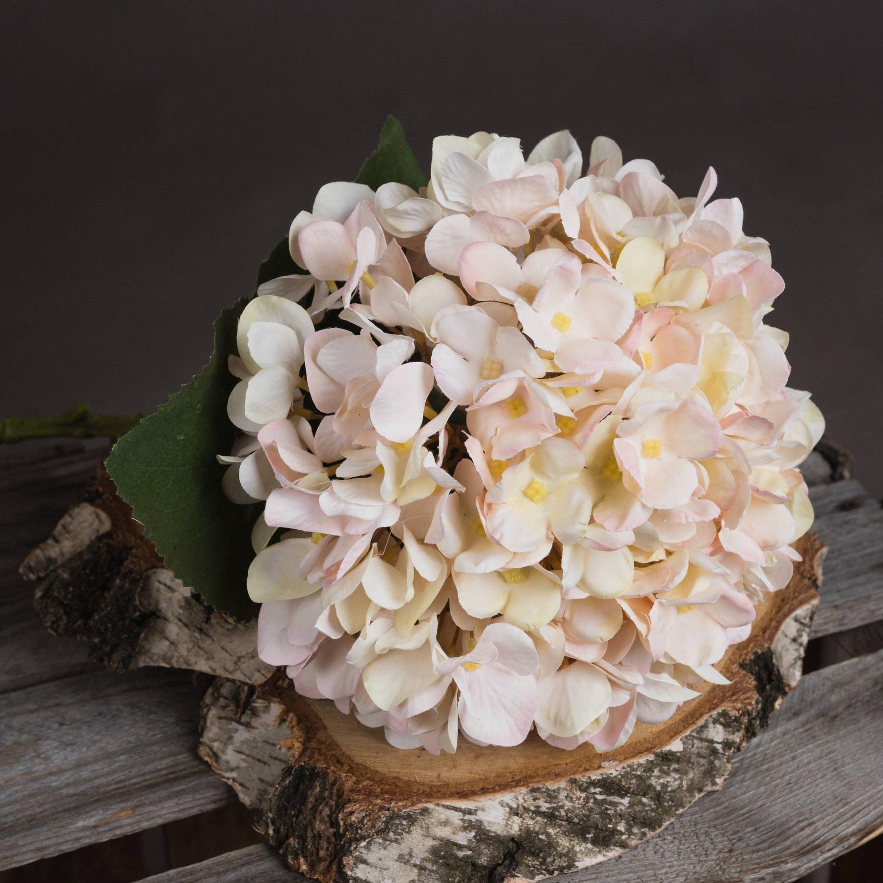 Autumn White Hydrangea - Eudemonia Home Goods