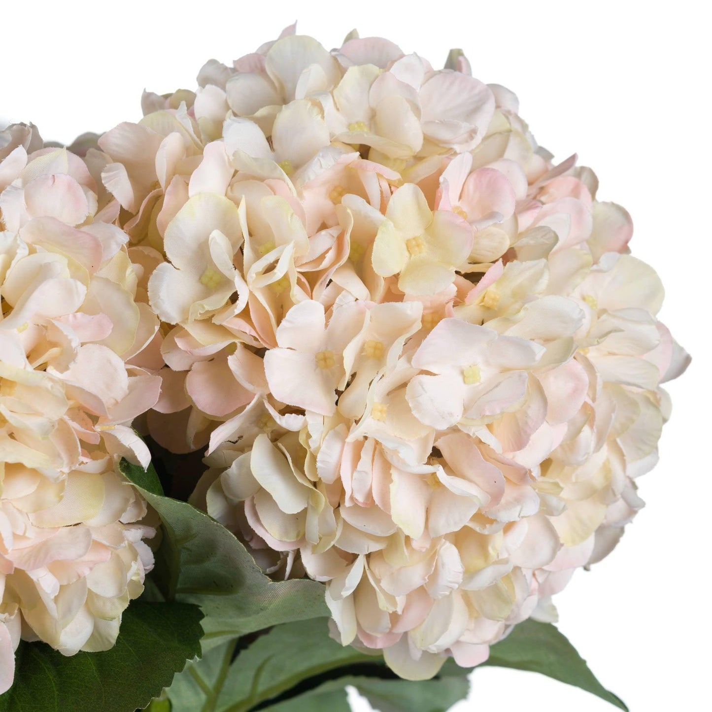 Autumn White Hydrangea - Eudemonia Home Goods